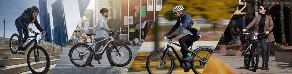See the bikes